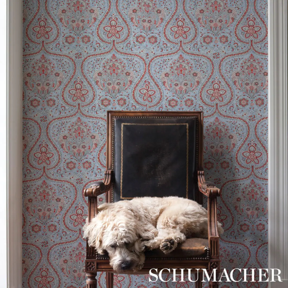 Paisley Court Wallpaper in an interior setting