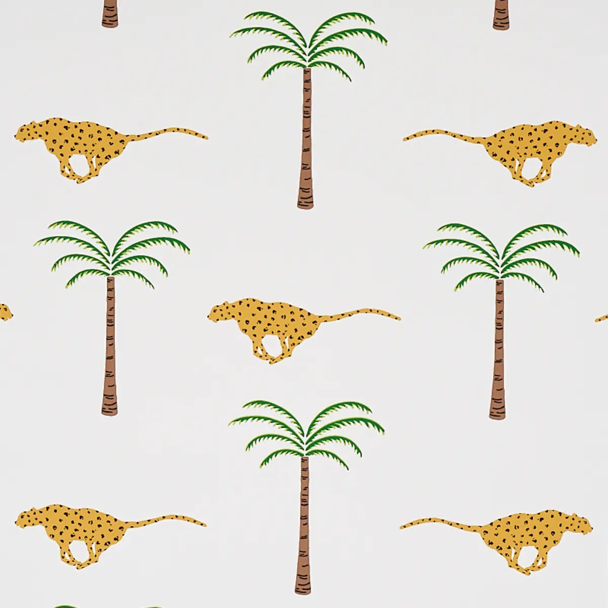 A Wild Desert Dream Wallpaper - Safari