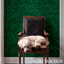 Load image into Gallery viewer, Xanadu Wallpaper in an interior setting