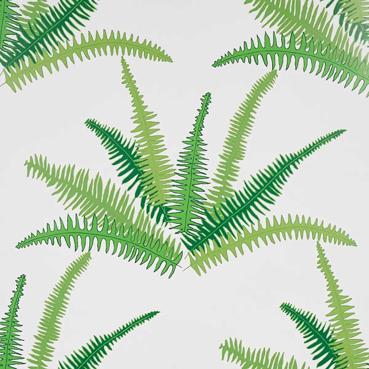 Canyon Ferns Wallpaper - Jungle