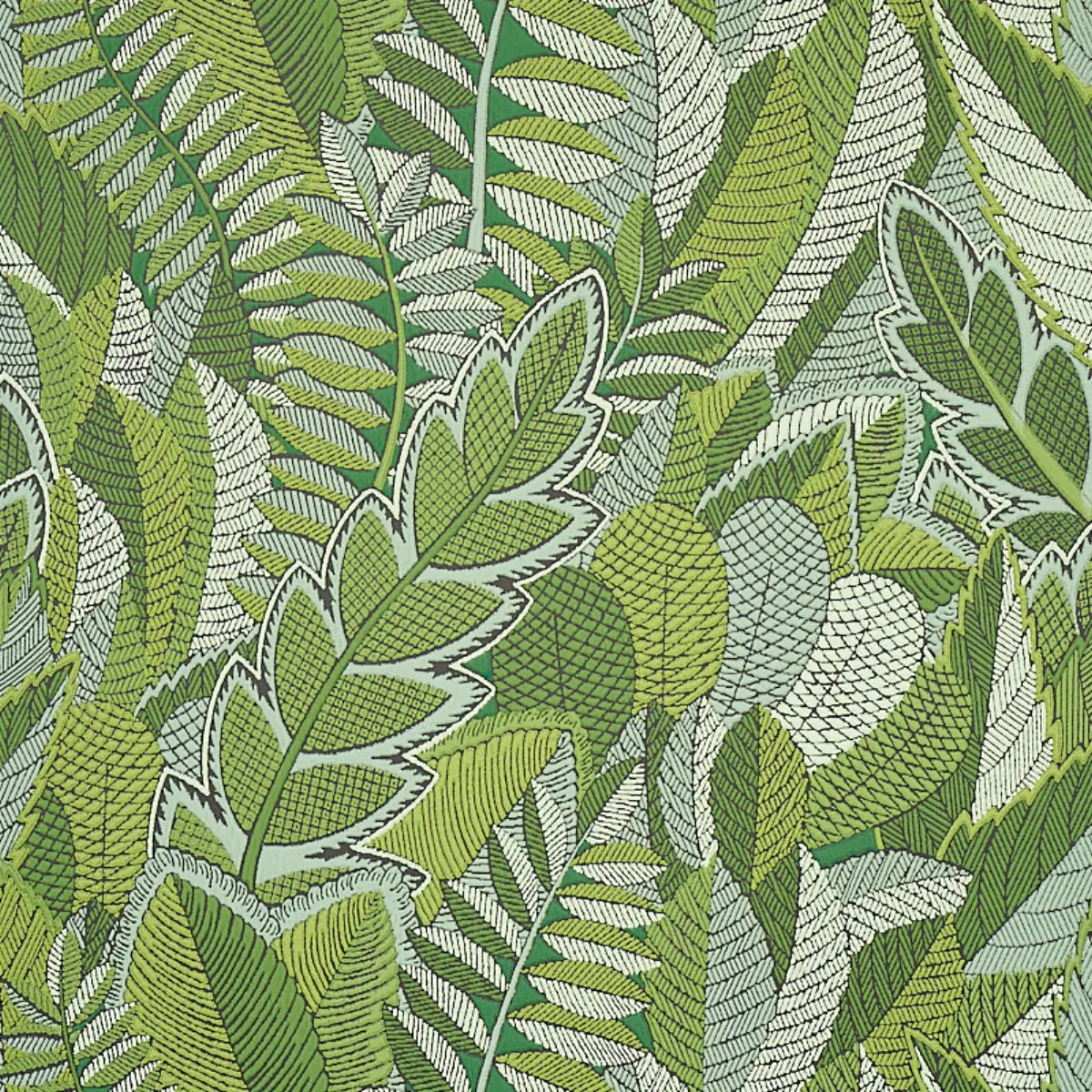 Japura Forest Wallpaper - Green