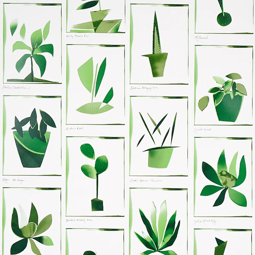 Botanicals Wallpaper - Greenhouse
