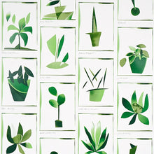 Load image into Gallery viewer, Botanicals Wallpaper - Greenhouse
