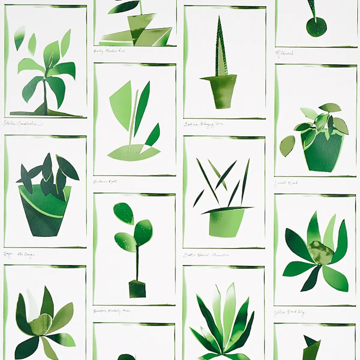 Botanicals Wallpaper - Greenhouse