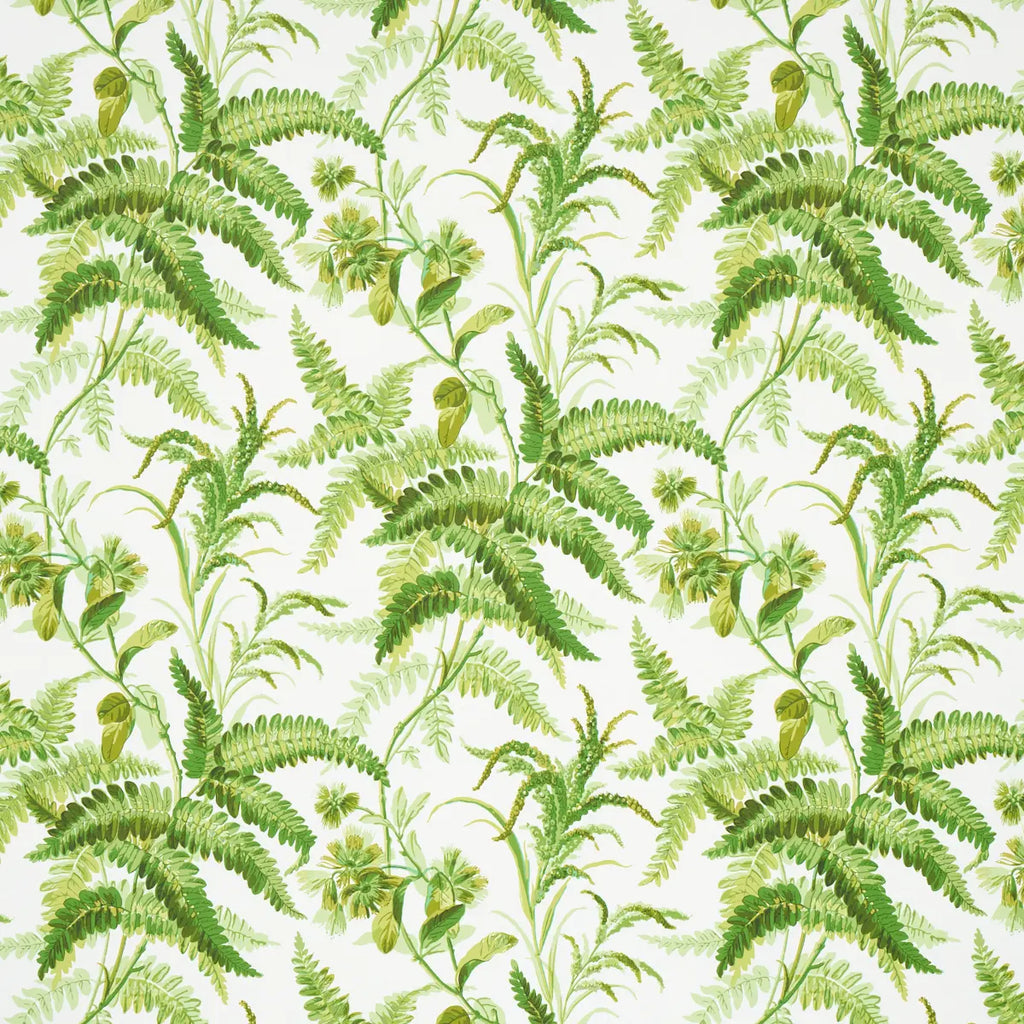 Myers Fern Wallpaper - Tropical