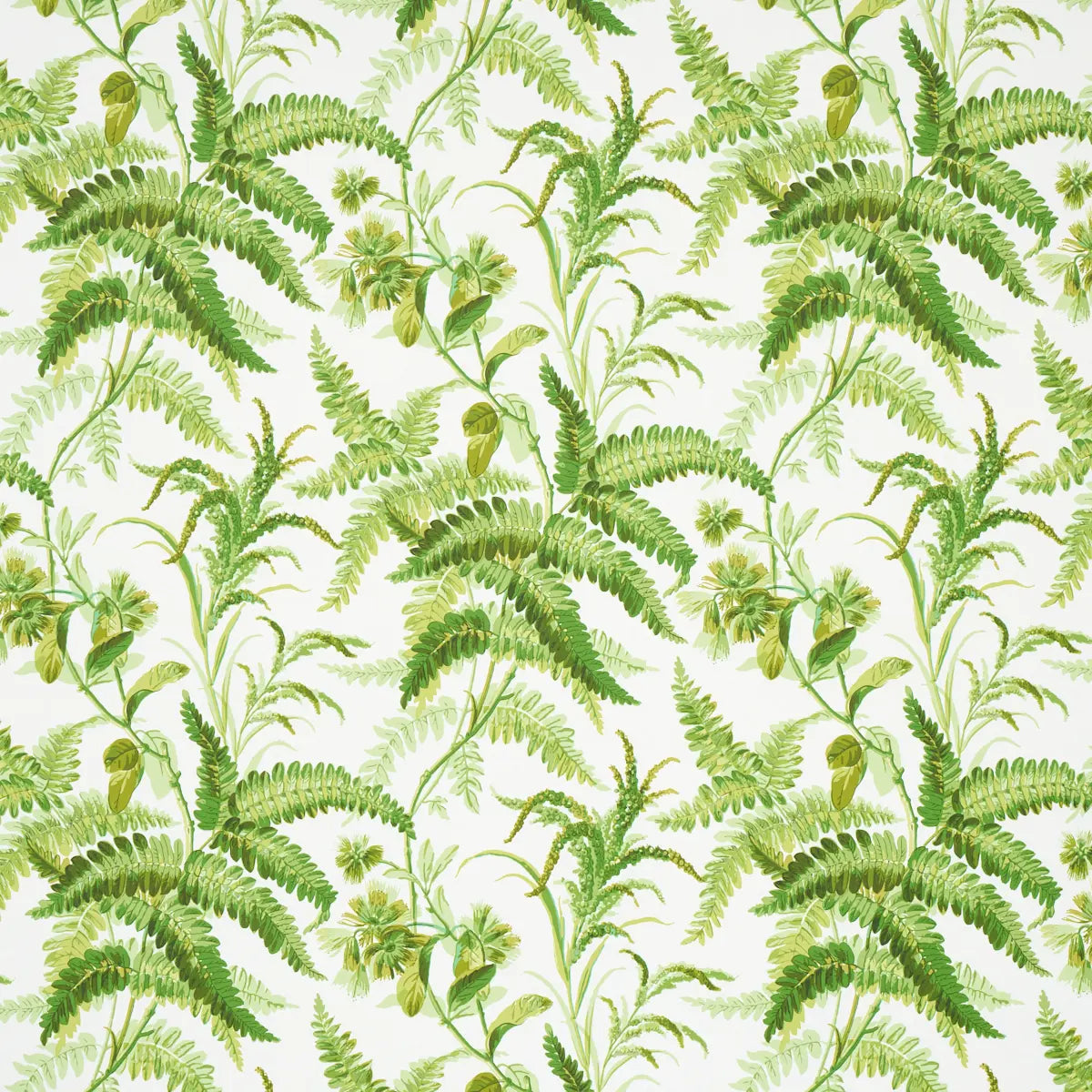 Myers Fern Wallpaper - Tropical