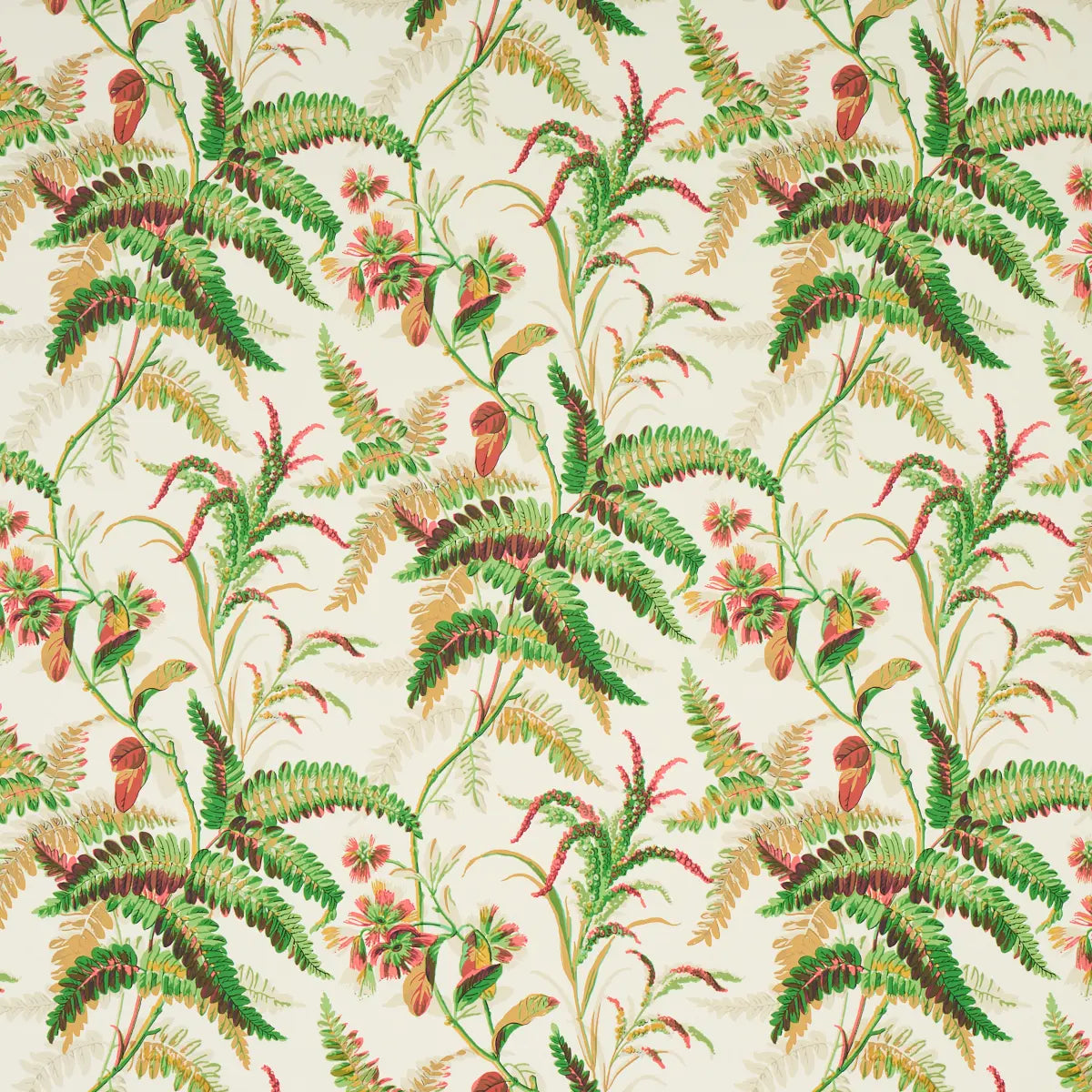 Myers Fern Wallpaper - Document