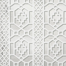 Load image into Gallery viewer, Zanzibar Trellis Mylar Wallpaper