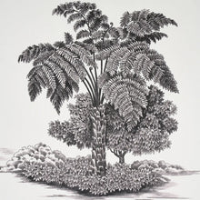 Load image into Gallery viewer, Toussaint Toile Wallpaper in an interior setting