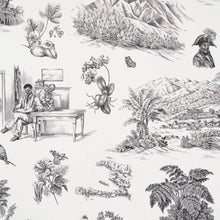 Load image into Gallery viewer, Toussaint Toile Wallpaper