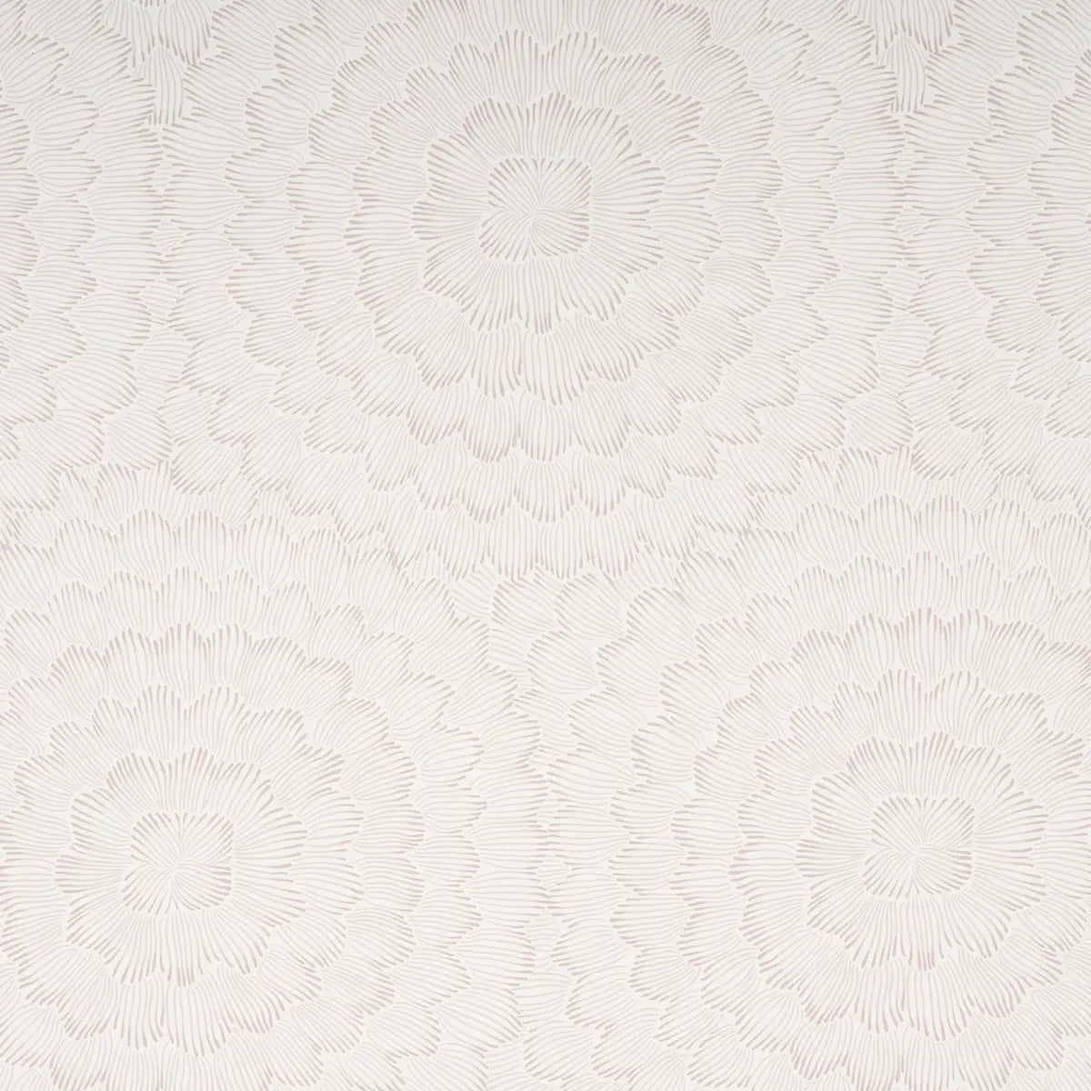 Feather Bloom Wallpaper - Soft Neutral
