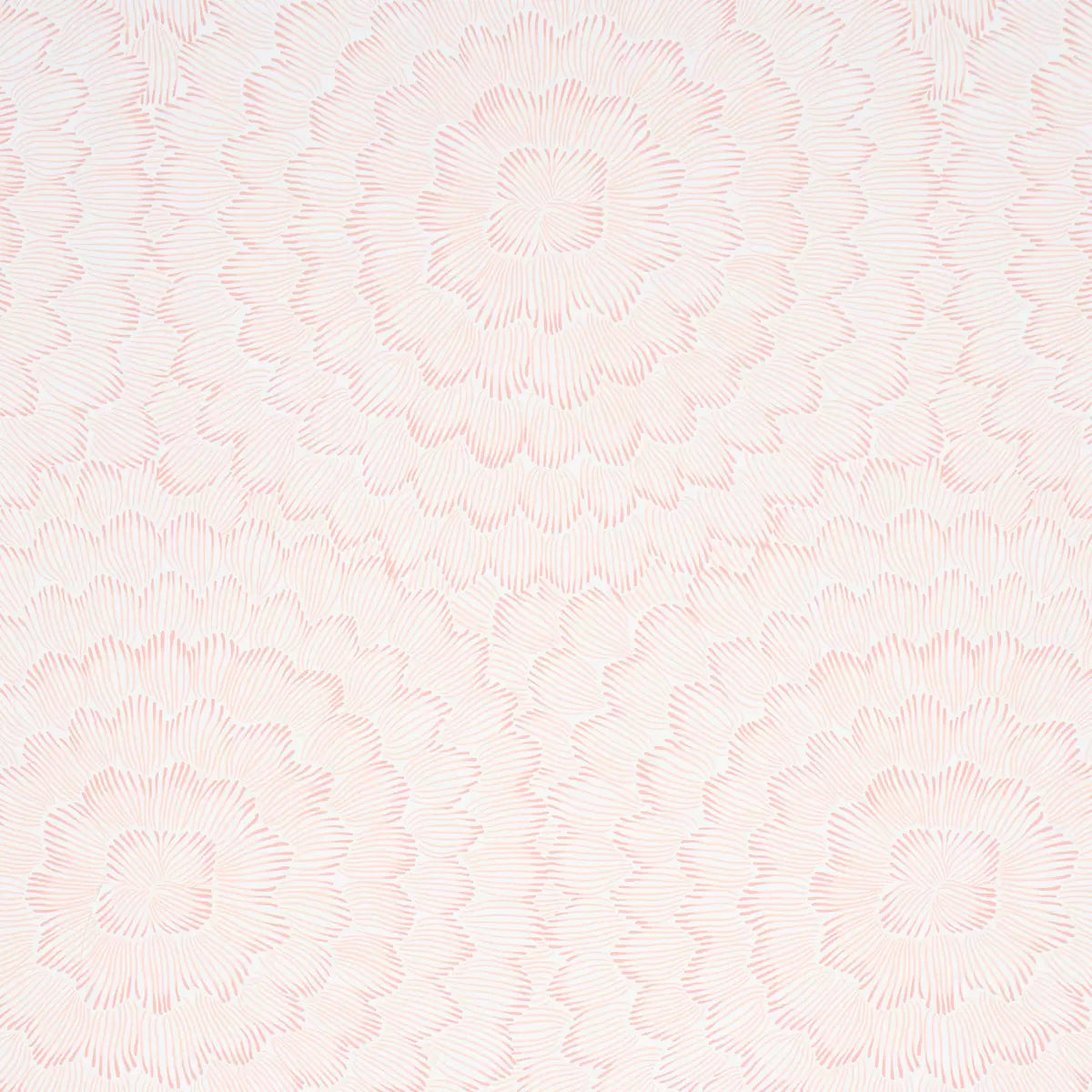Feather Bloom Wallpaper