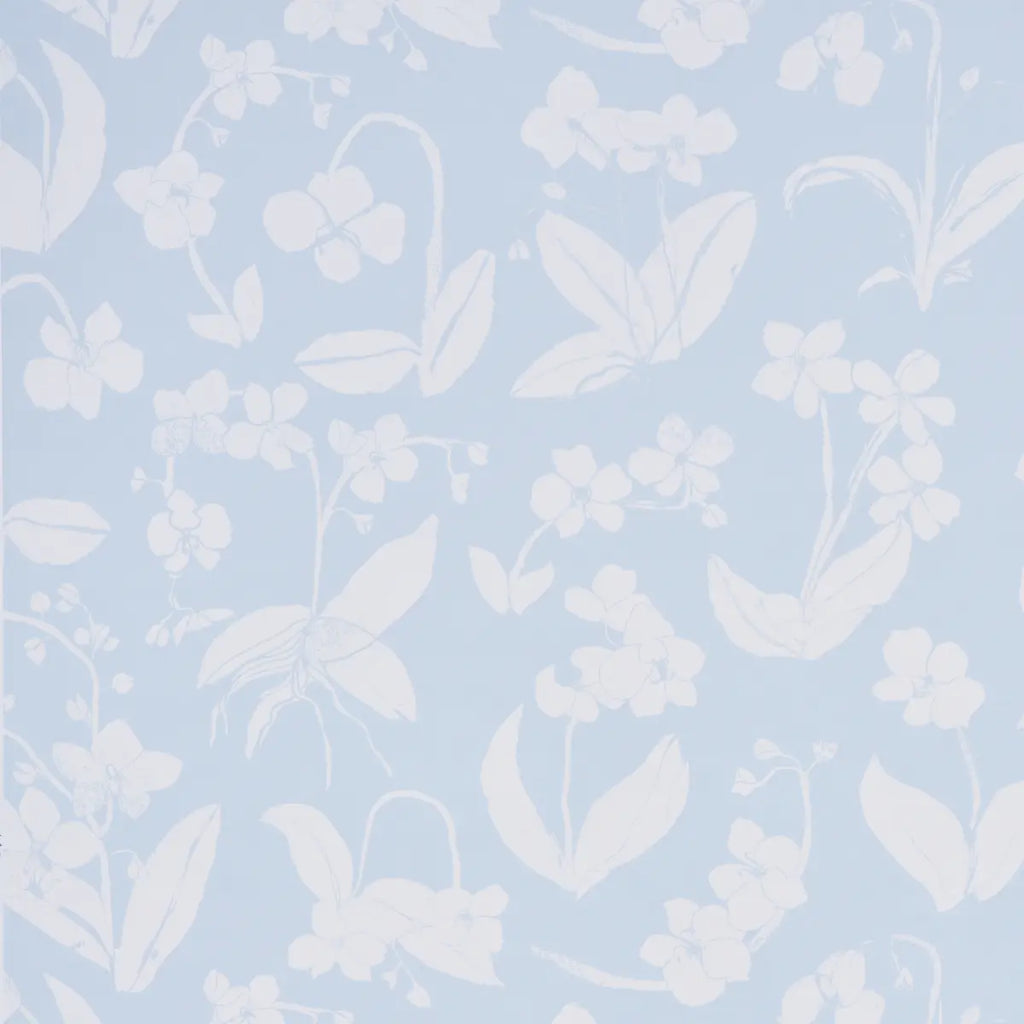 Orchids Have Dreams Wallpaper - Sky