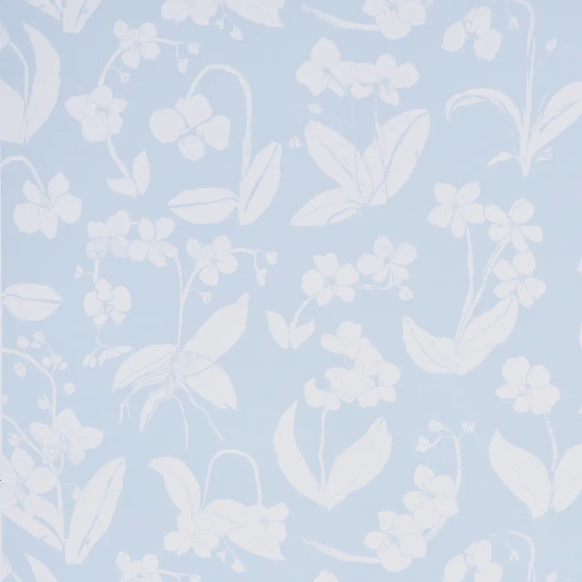 Orchids Have Dreams Wallpaper - Sky