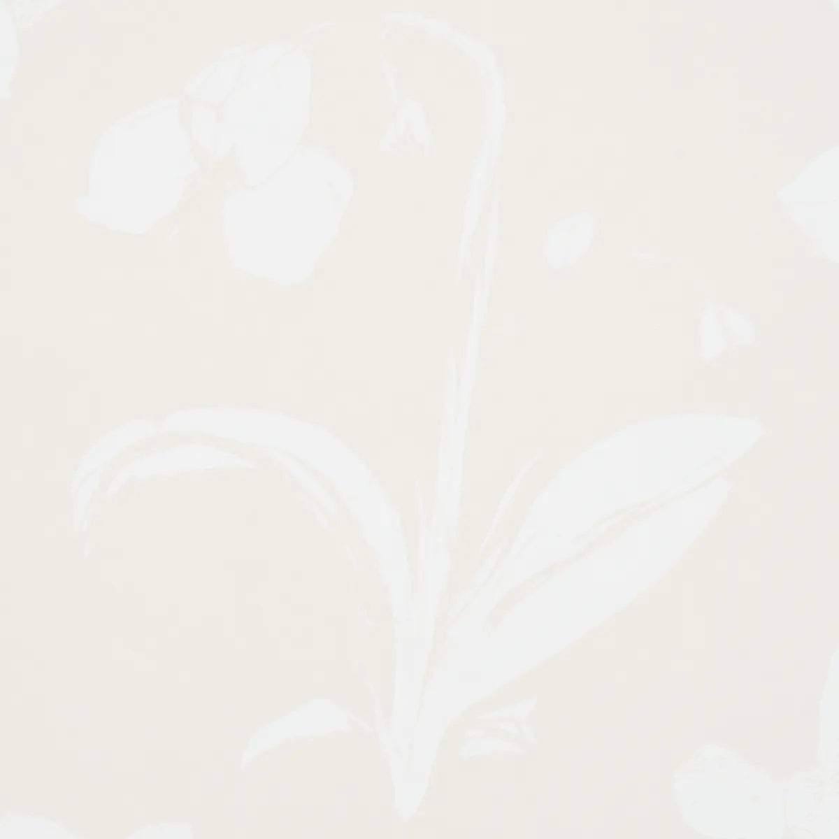 Orchids Have Dreams Wallpaper in an interior setting