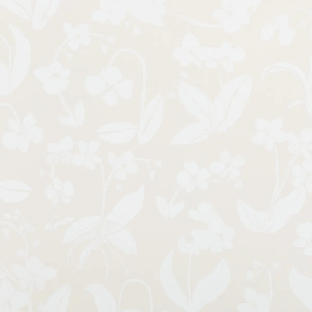 Orchids Have Dreams Wallpaper