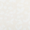Orchids Have Dreams Wallpaper