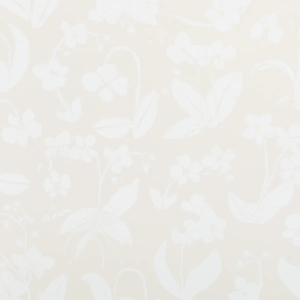 Orchids Have Dreams Wallpaper