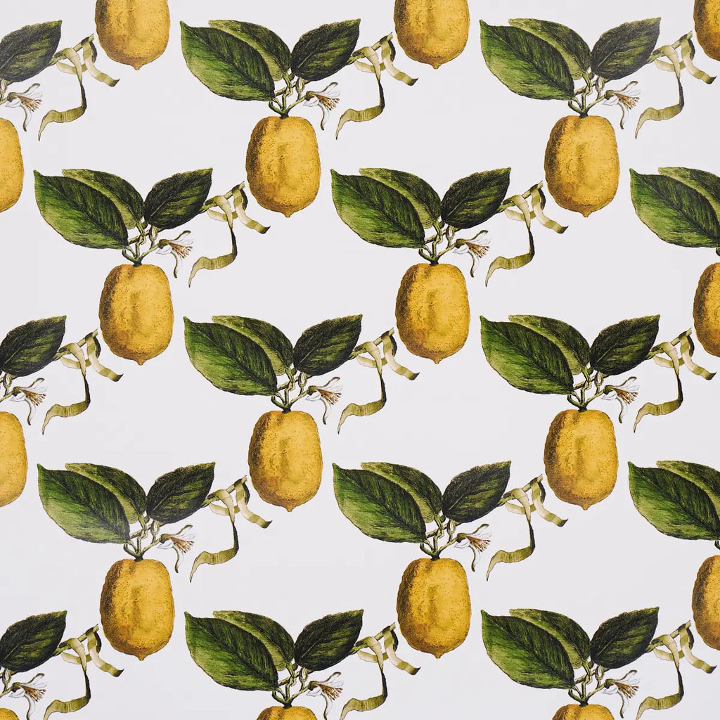 Le Citron Wallpaper