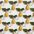 Le Citron Wallpaper