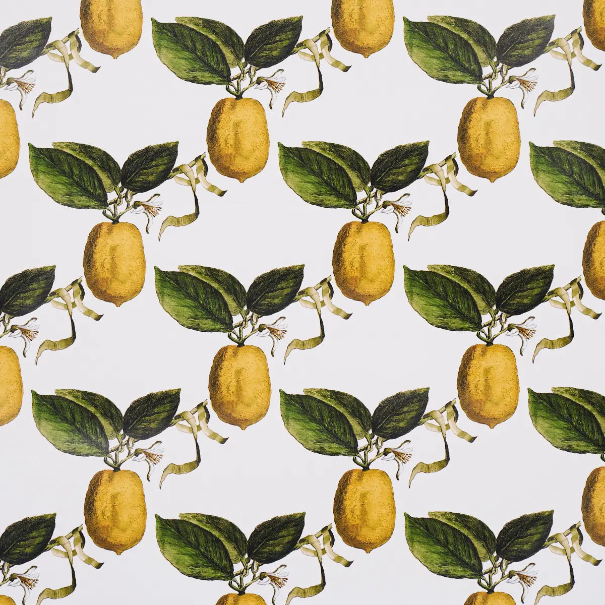 Le Citron Wallpaper