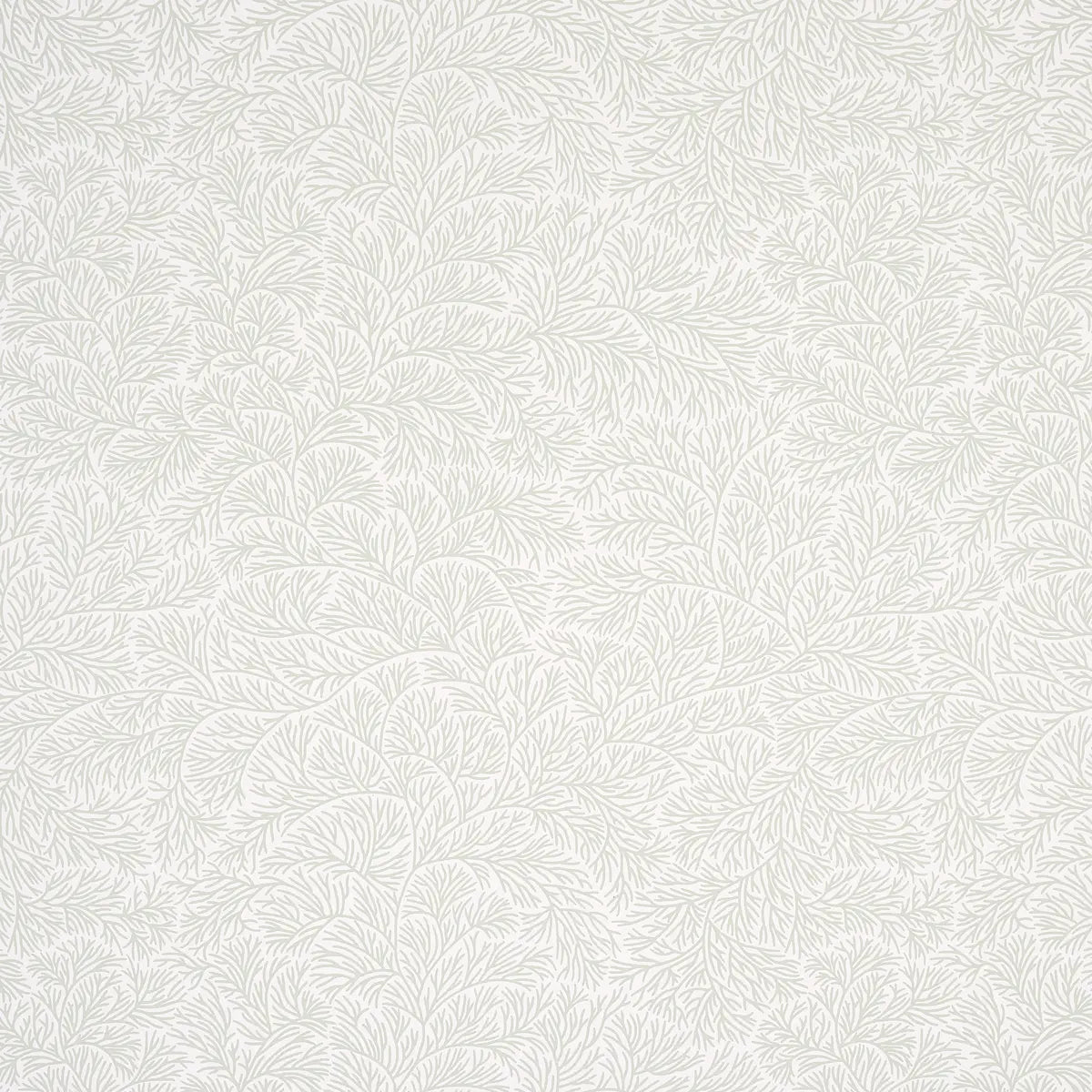 Bougainvillea Wallpaper - Leaf Green