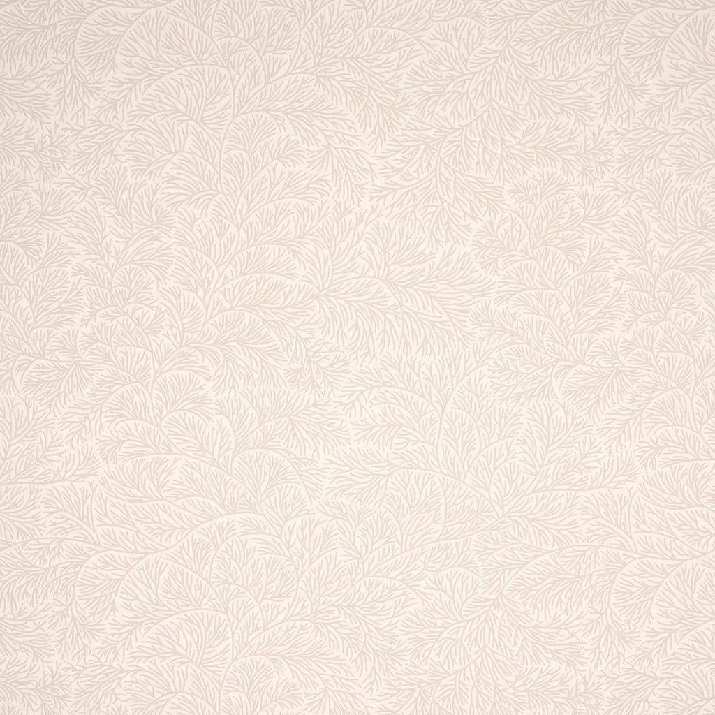 Bougainvillea Wallpaper - Neutral