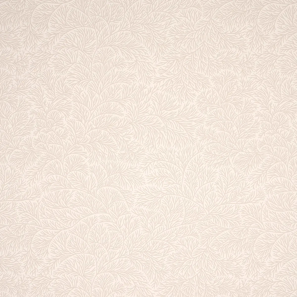 Bougainvillea Wallpaper - Neutral