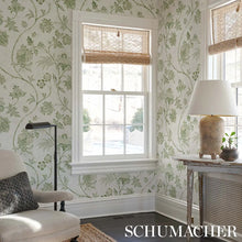 Load image into Gallery viewer, Chinoiserie Vine Wallpaper in an interior setting