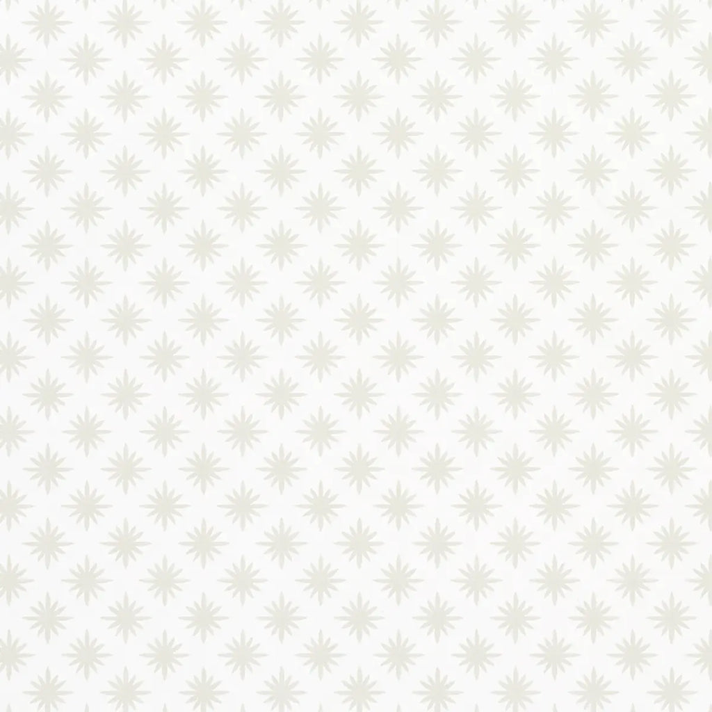 Star Anise Wallpaper