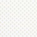 Star Anise Wallpaper
