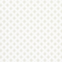 Load image into Gallery viewer, Star Anise Wallpaper