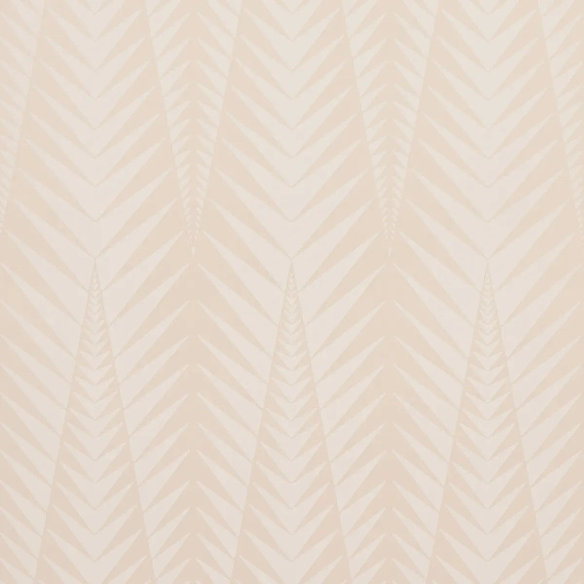 Zebra Wallpaper