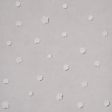 Load image into Gallery viewer, Heavenly Bodies Wallpaper - Gray