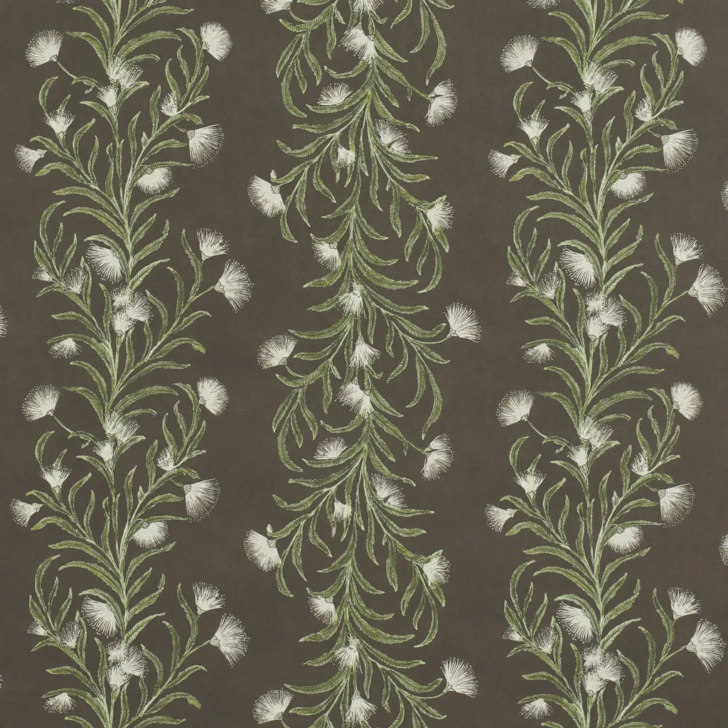 Tasmanian Mimosa Wallpaper - Brown &green
