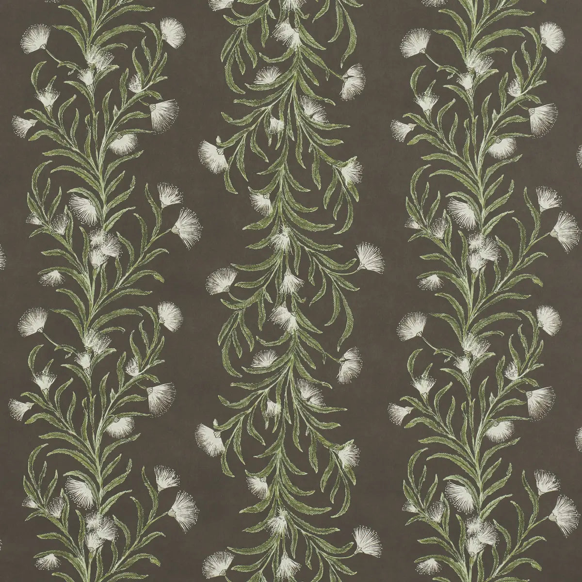Tasmanian Mimosa Wallpaper - Brown &green