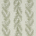 Tasmanian Mimosa Wallpaper