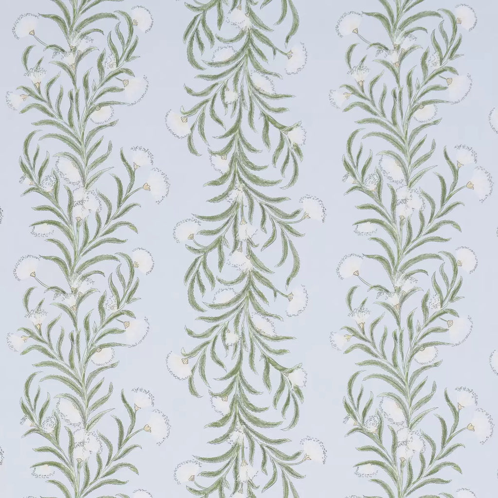 Tasmanian Mimosa Wallpaper - Sky