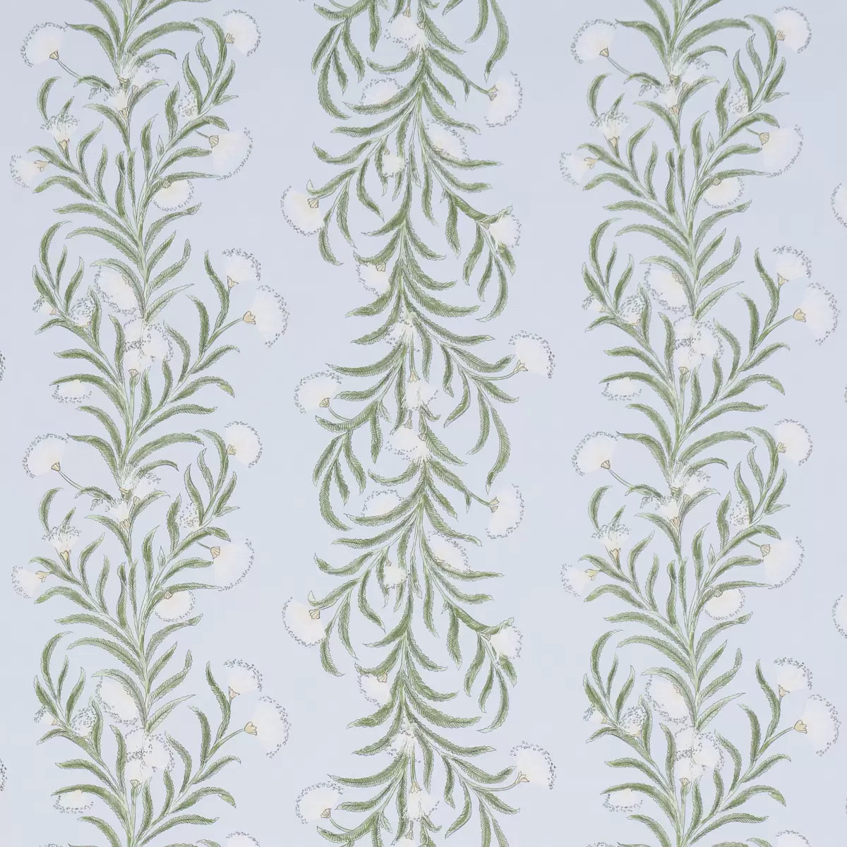 Tasmanian Mimosa Wallpaper - Sky