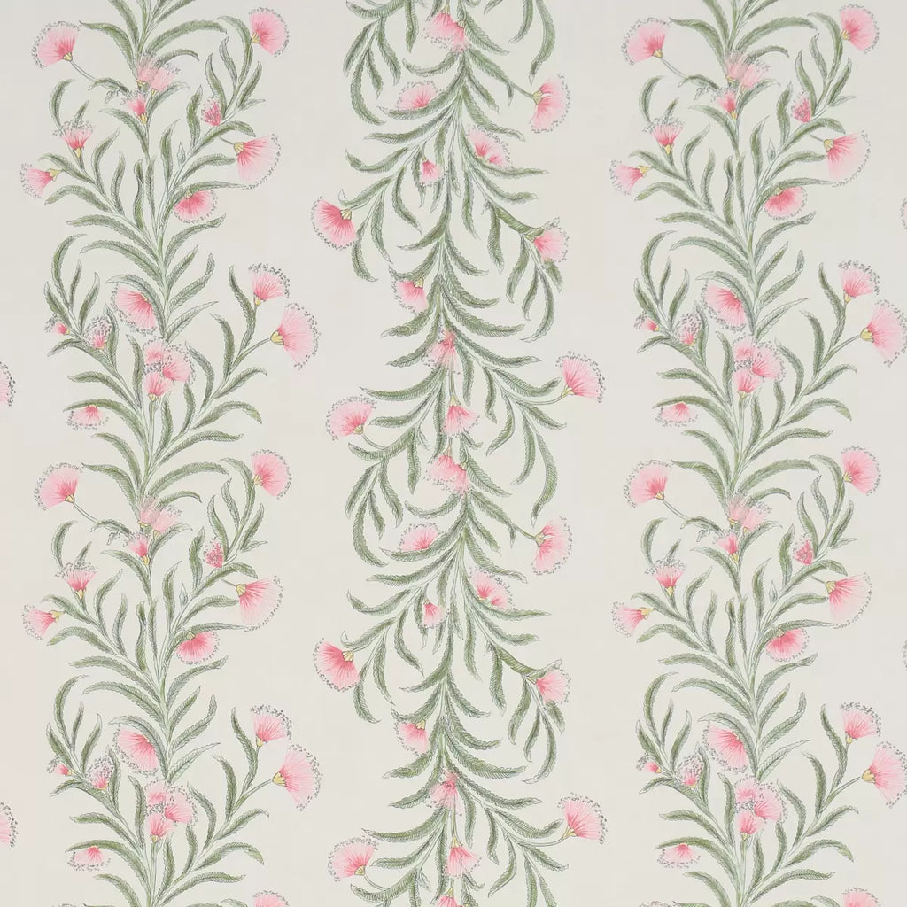Tasmanian Mimosa Wallpaper - Petal