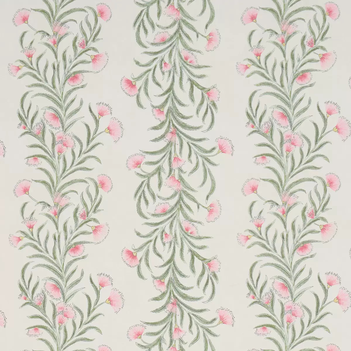 Tasmanian Mimosa Wallpaper - Petal