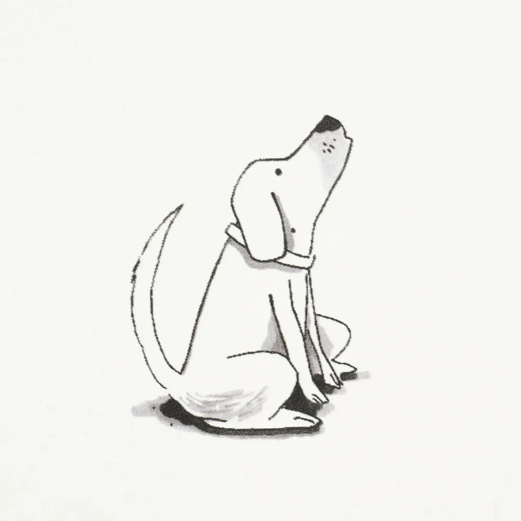Good Dogs Everywhere Wallpaper in an interior setting