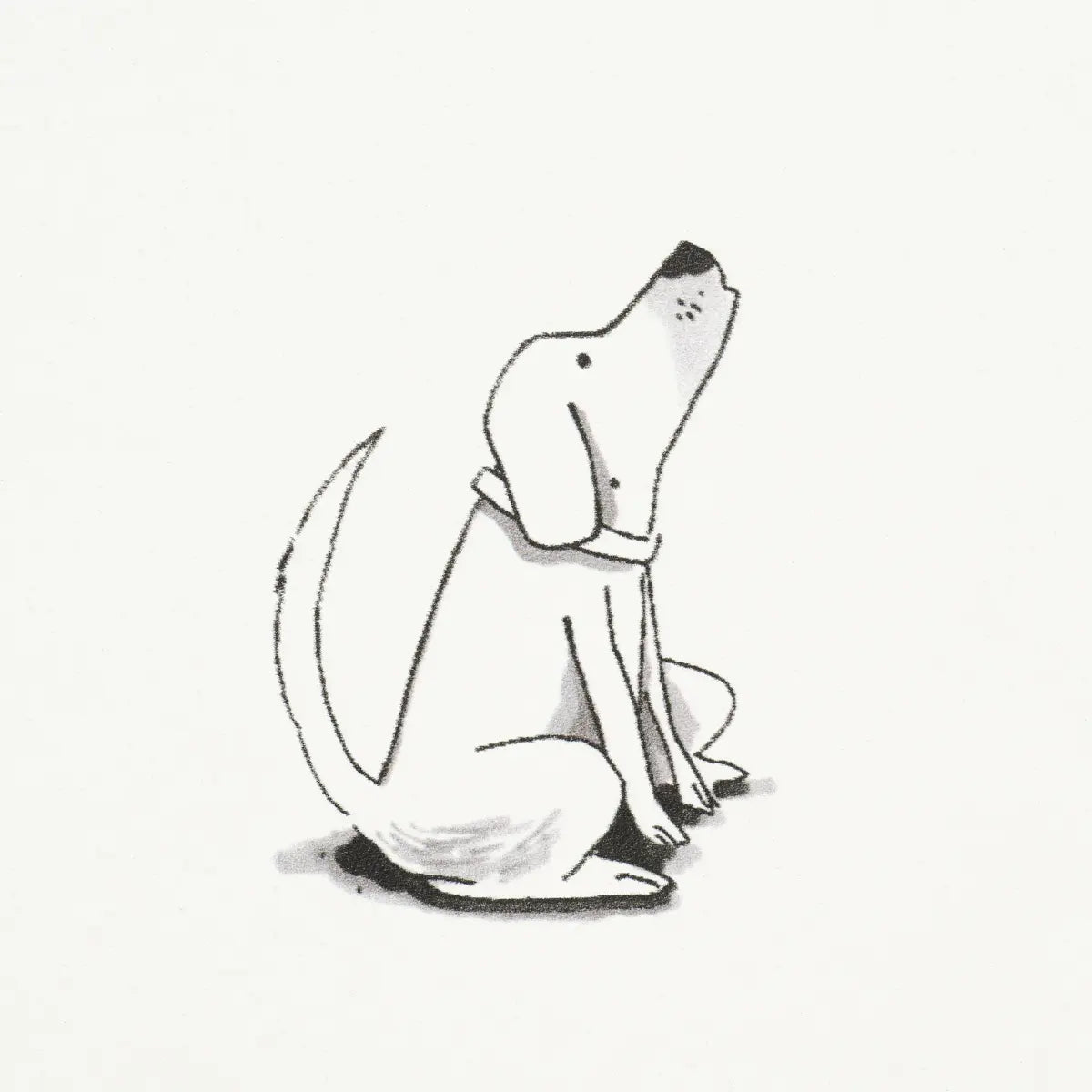 Good Dogs Everywhere Wallpaper in an interior setting