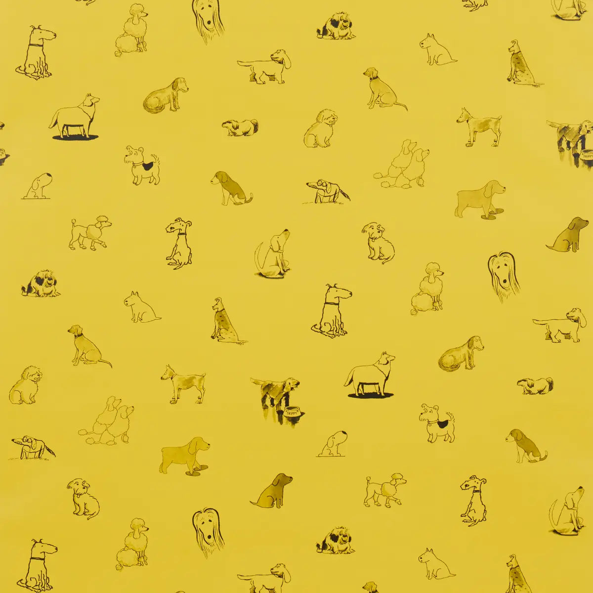 Good Dogs Everywhere Wallpaper - Taxi-Cab Yellow