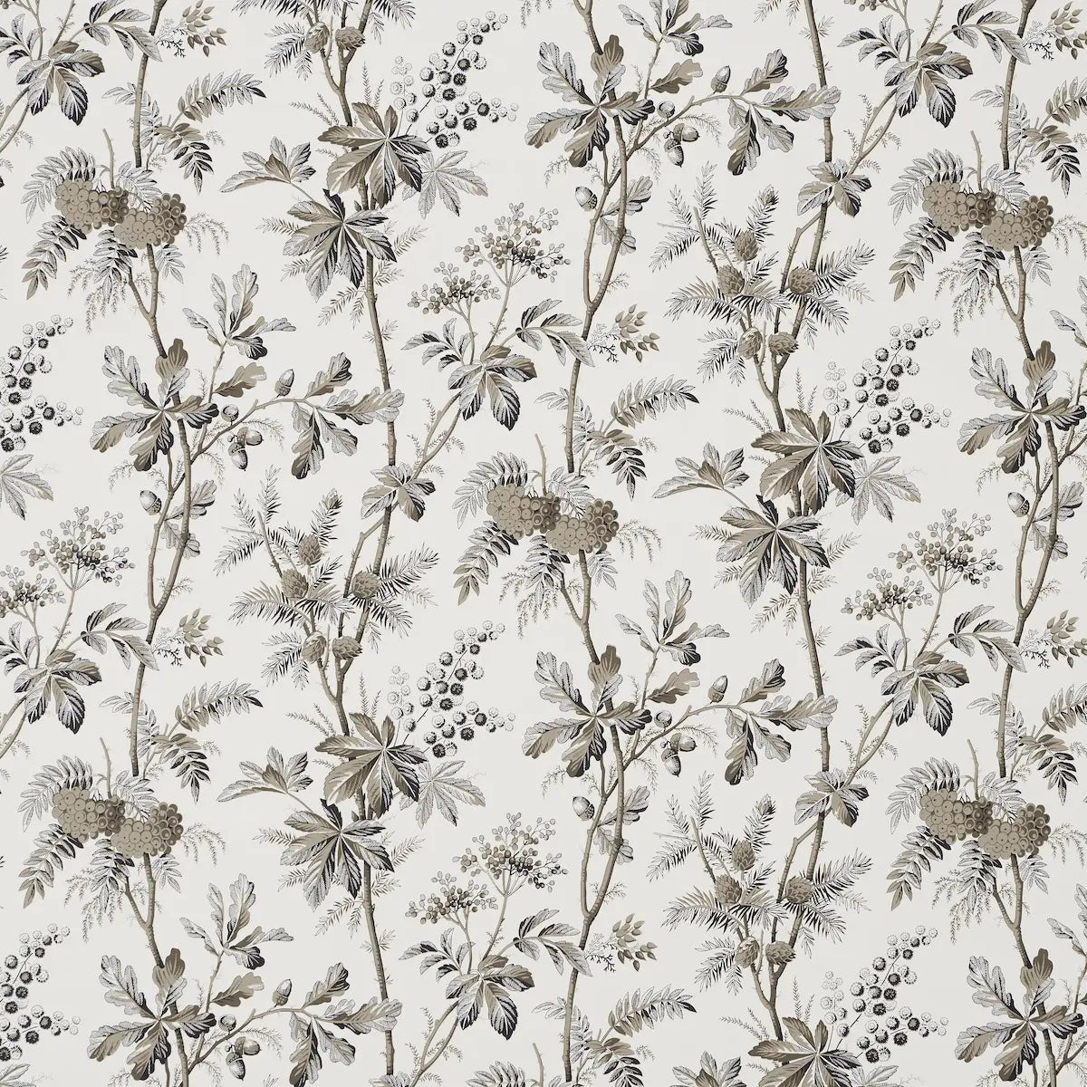 Brantwood Vine Wallpaper - Graphite