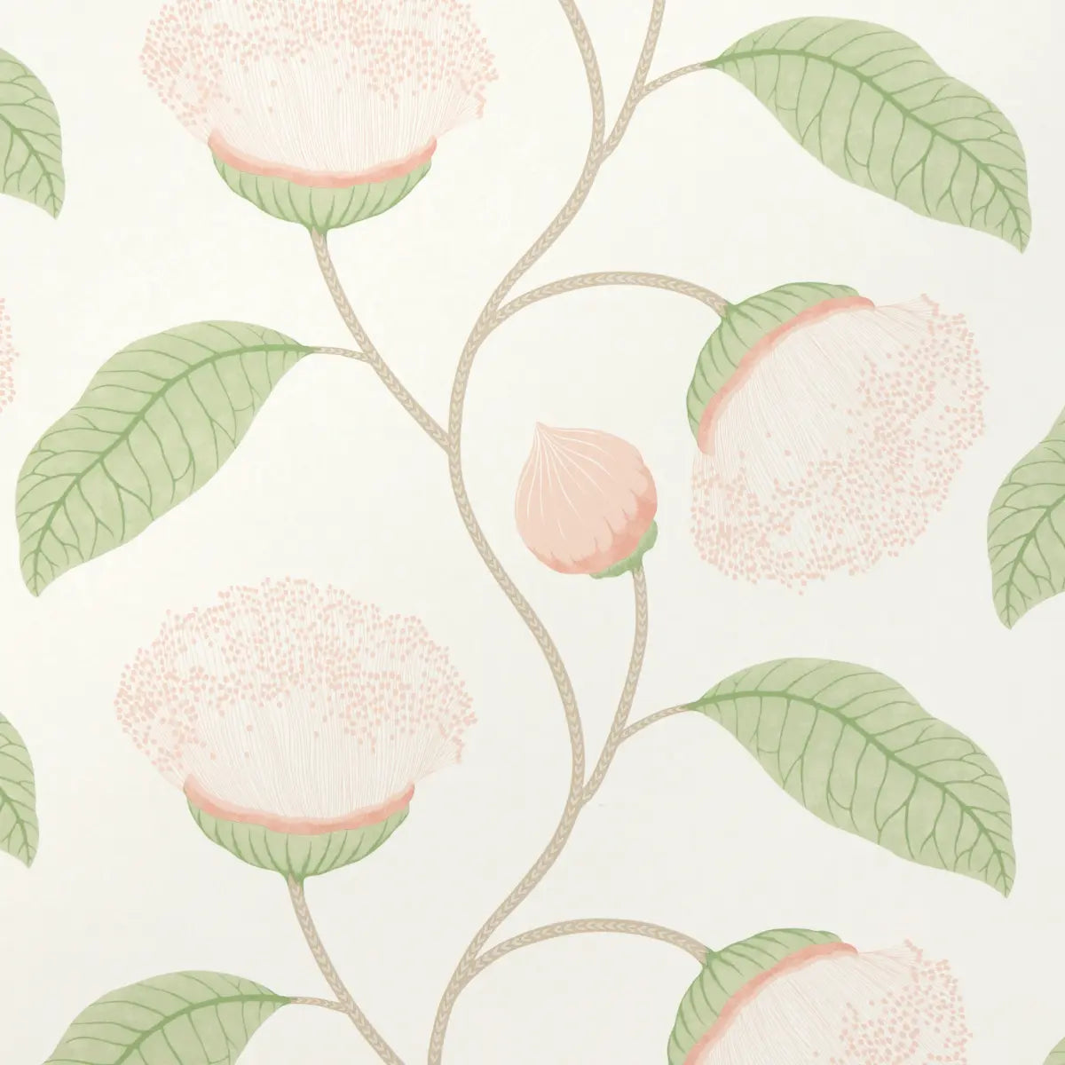 Celinda Wallpaper - Blush