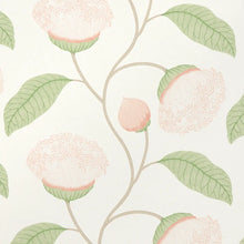 Load image into Gallery viewer, Celinda Wallpaper - Blush