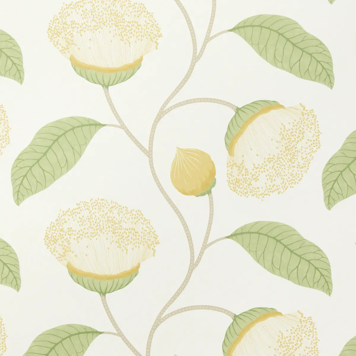 Celinda Wallpaper - Citrus