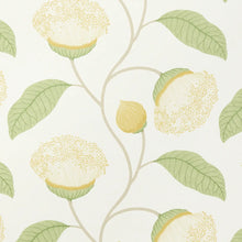 Load image into Gallery viewer, Celinda Wallpaper - Citrus