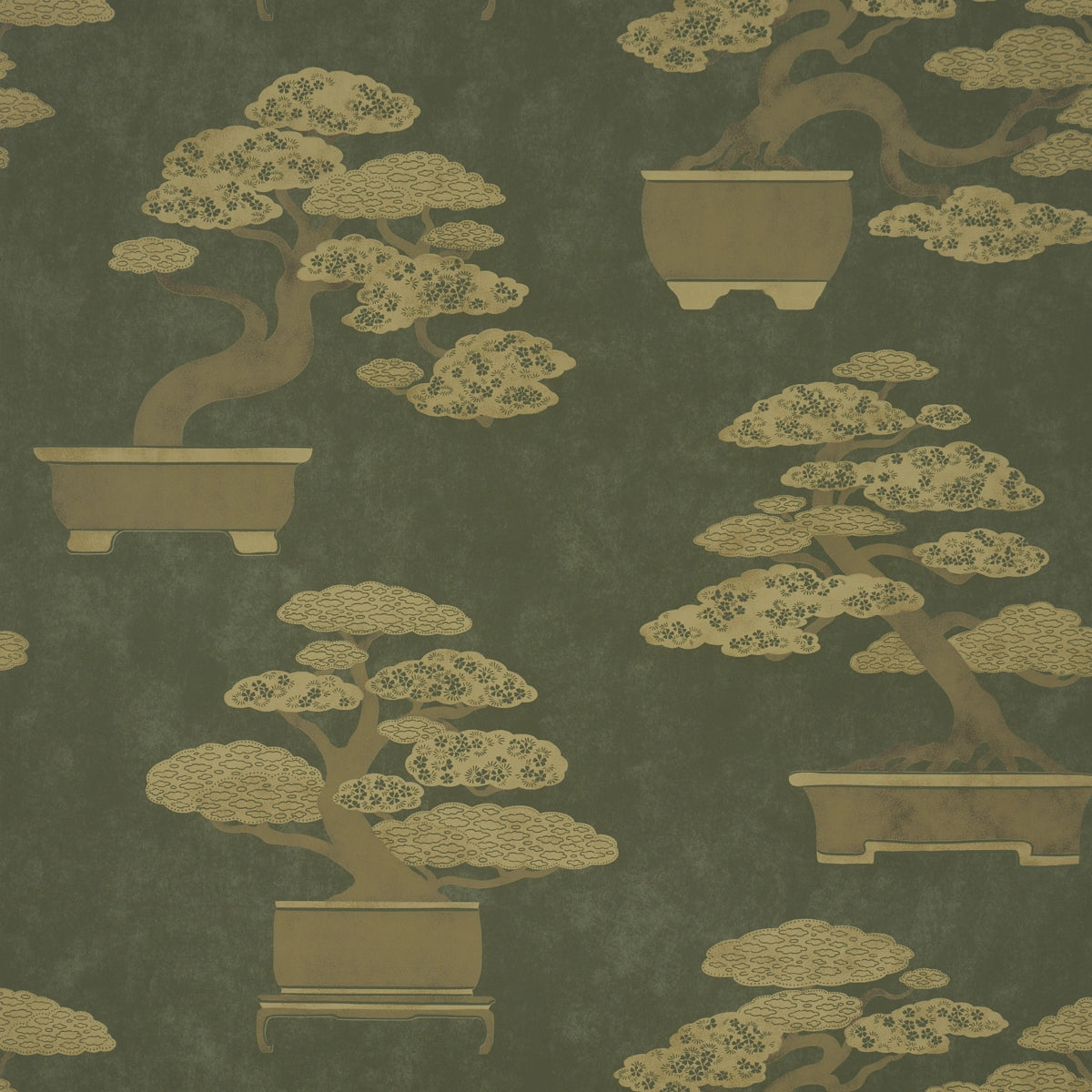 Bonsai Tree Wallpaper - Olive